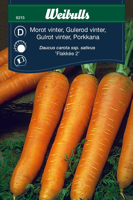 Gulrot vinter 'Flakker'